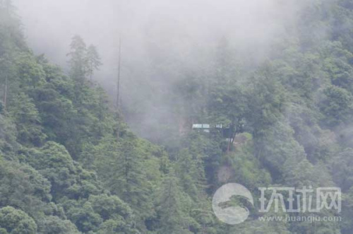 ��ӡ߅����ӡ܊���վ���[��ԭʼɭ������