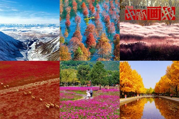 【圖刊】初冬至 大自然多彩冬衣“上新”啦！