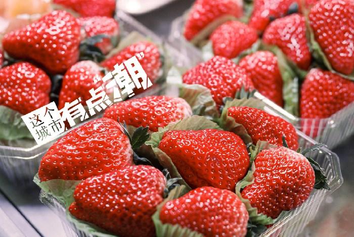 丹東：這一口鮮甜，開(kāi)啟冬日“莓”好時(shí)光