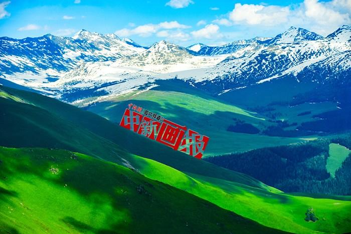 將夏天的“綠” 裝進(jìn)屏幕里，一組護(hù)眼壁紙請(qǐng)查收！