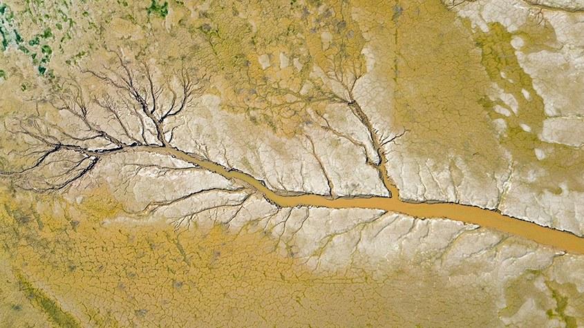 黃河河床現(xiàn)巨幅“水粉沙畫(huà)”