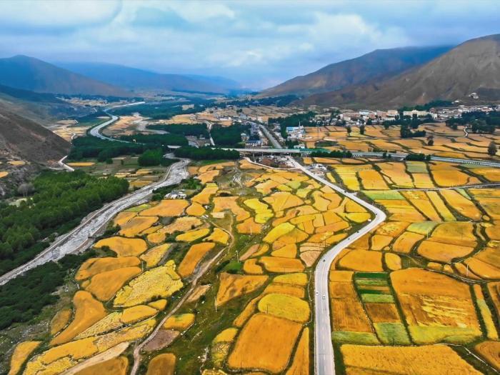 立秋時(shí)節(jié)高原青?！柏S景”初現(xiàn)