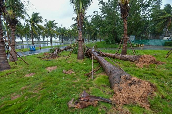 強臺風(fēng)“麥德姆”攜強風(fēng)雨影響?？?>
     <p>強臺風(fēng)“麥德姆”攜強風(fēng)雨影響海口</p>
</a><a href=