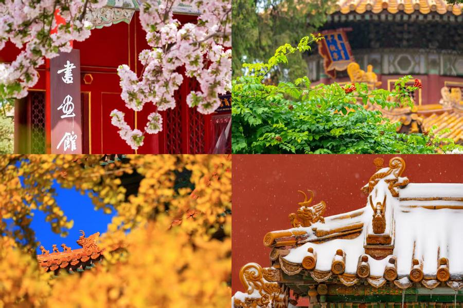 百歲快樂！一組圖領(lǐng)略故宮四季流轉(zhuǎn)之美