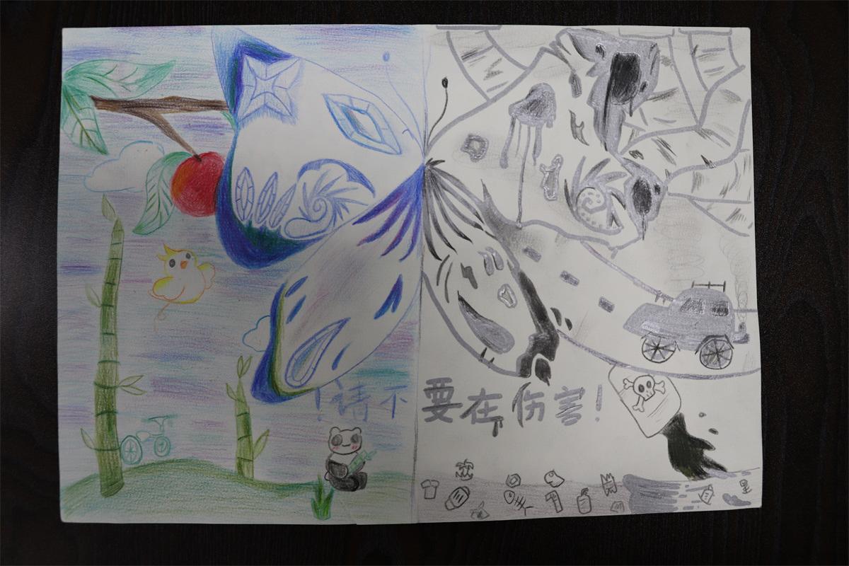 《請不要再傷害！》孫妙然 11歲