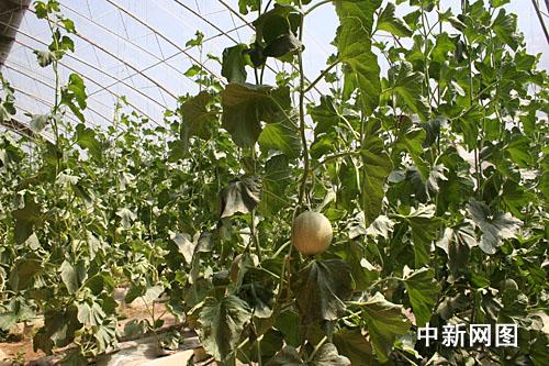 ˹Mǽ˻@ӡ׌ϡĲˡDʮBl(xing)(ni)ľGɫЙC߲