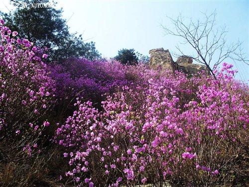 玩轉(zhuǎn)自駕游之阿爾山 4款四驅(qū)城市型SUV 汽車(chē)之家 玩轉(zhuǎn)自駕游之阿爾山 4款四驅(qū)城市型SUV 汽車(chē)之家