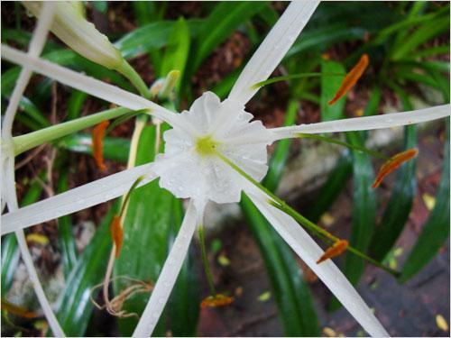 本周數(shù)碼相機(jī)市場(chǎng) 消費(fèi)者關(guān)注度前十熱機(jī)