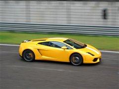 (q)Uţw(yn)mLP550-2 ܇(ch)֮