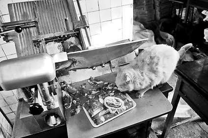 иõƬϵİɫ؈fƬؓ؟иƬŮӴ󲿷֕rҕҊ MDƬ ӛ  z