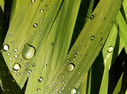 �O(p��ng)���O(p��ng)�� iPhone 4(32G) �ӏ��D