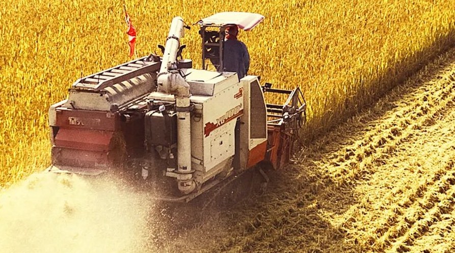 “察實(shí)情、辦實(shí)事、求實(shí)效”，這十句話，振奮人心！