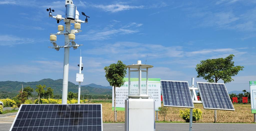 探訪在種業(yè)科研和創(chuàng)業(yè)熱土中成長的三亞“南繁硅谷”<p>晚秋的三亞，午間陽光依然炙熱。在崖州區(qū)壩頭南繁基地，由太陽能電池板提供能源，生態(tài)監(jiān)測系統(tǒng)、物聯(lián)網(wǎng)蟲情信息采集系統(tǒng)不間斷工作。<p>