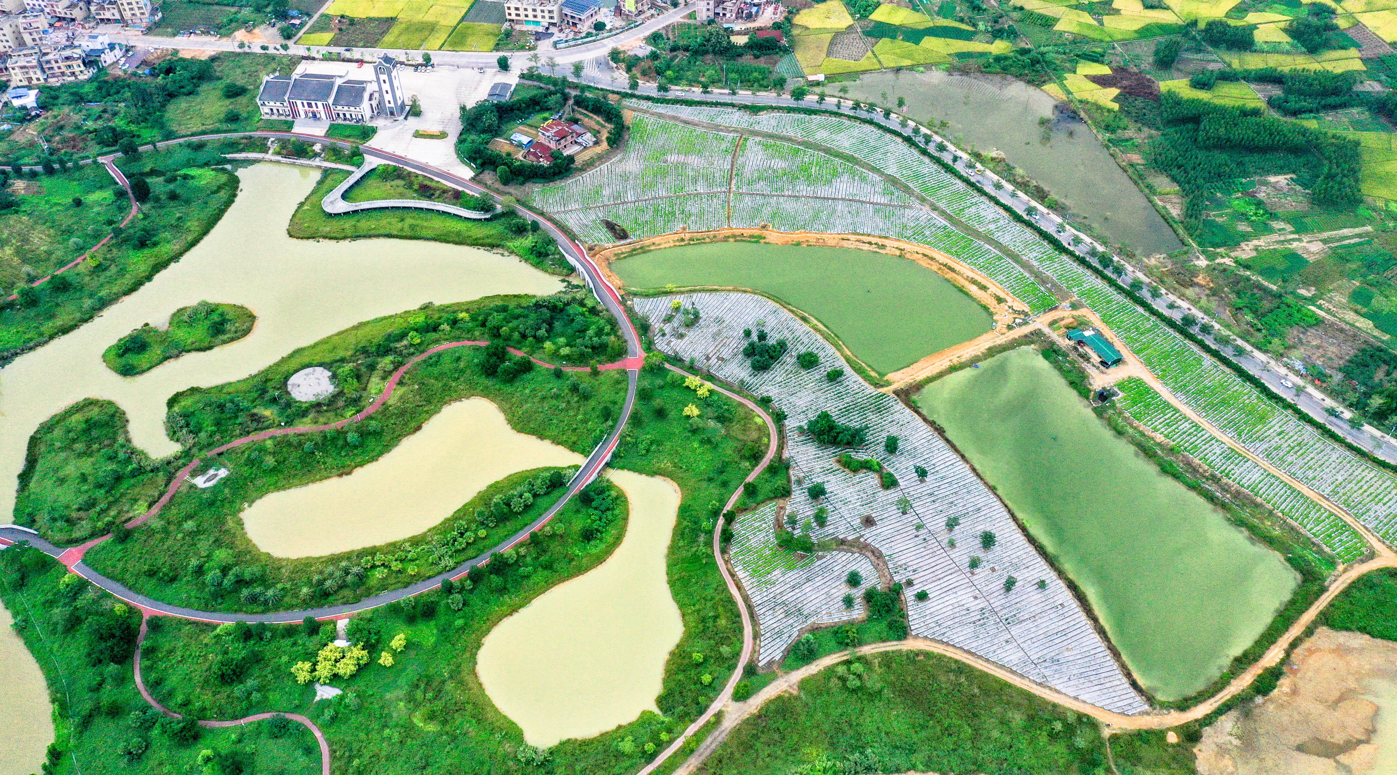 廣西梧州:濕地公園秋色美