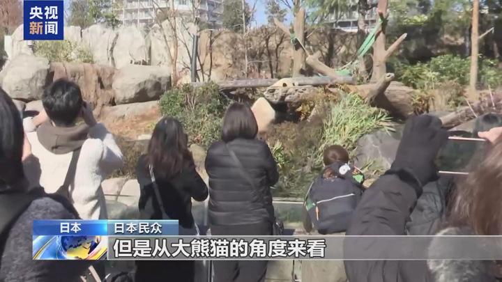 旅日大熊貓即將回國(guó) 日本民眾不舍送別