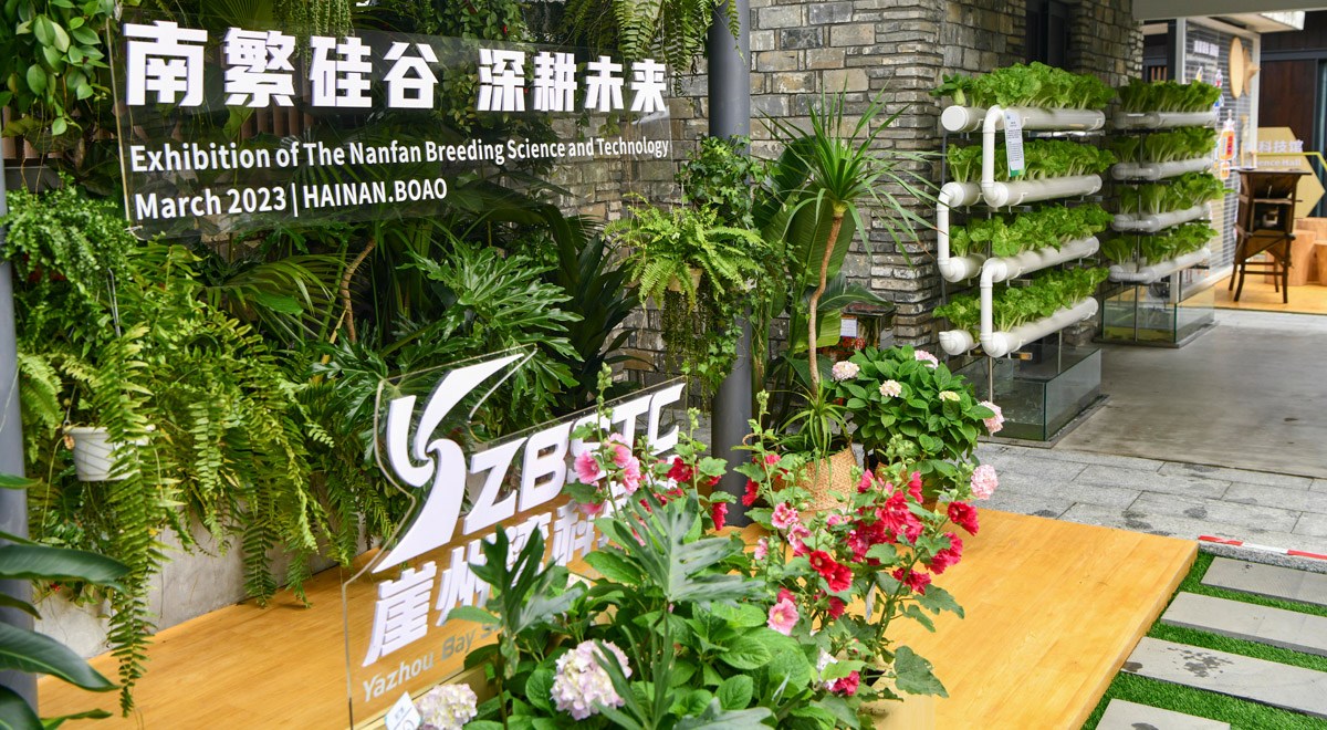 三亞攜南繁果實(shí)、深海利器亮相博鰲亞洲論壇年會