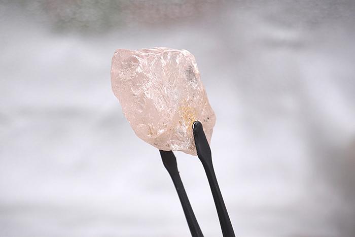 最大粉鉆長啥樣？