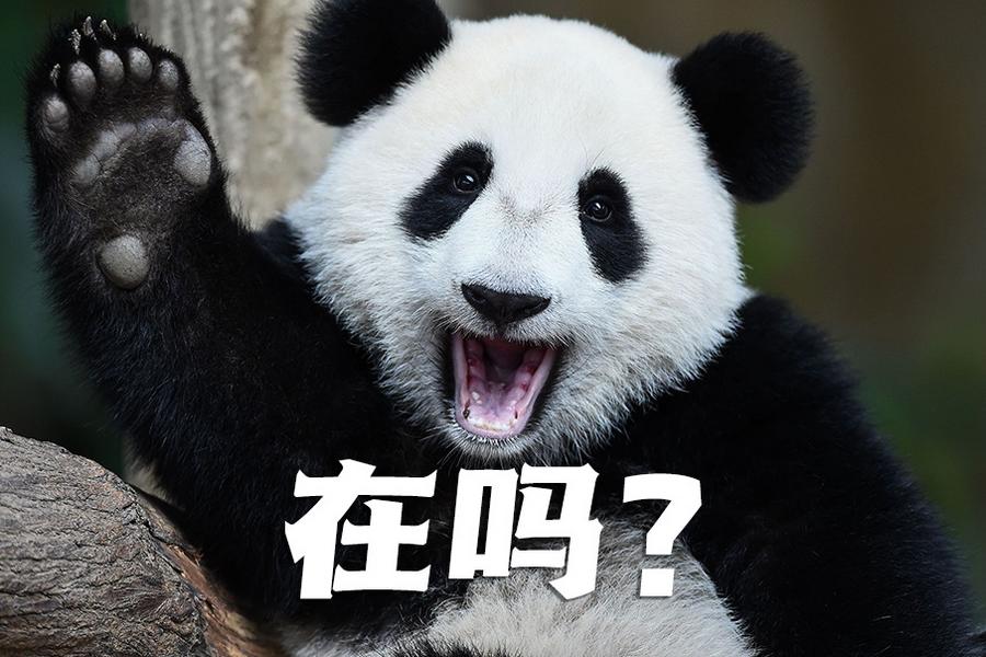 【世界微笑日特刊】嘿嘿，今天你笑了嗎？